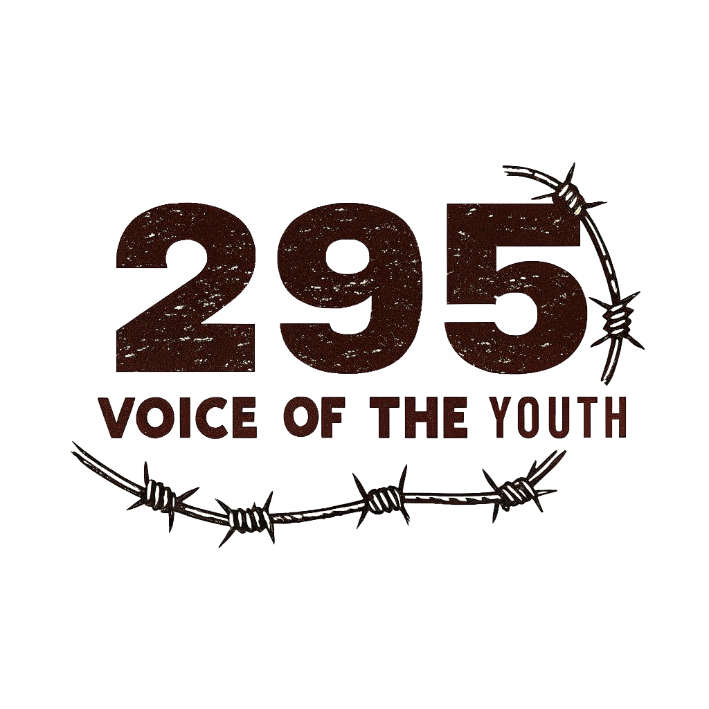 295 Voice of the Youth | Unisex Music Lover T Shirt